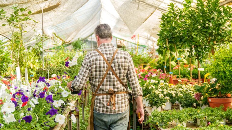 Vividly colorful photo of a senior Caucasian worker in a botanical garden, arranging ornamental flower pots amidst a thriving greenhouse