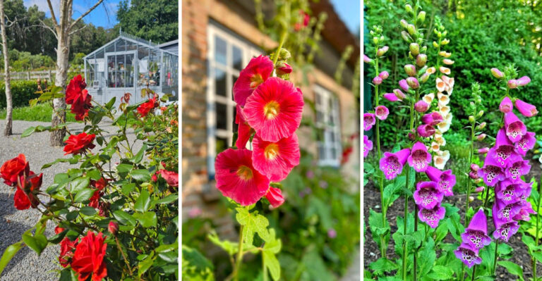 20 Flowers That Will Help You Achieve The Cottage Garden Of Your Dreams