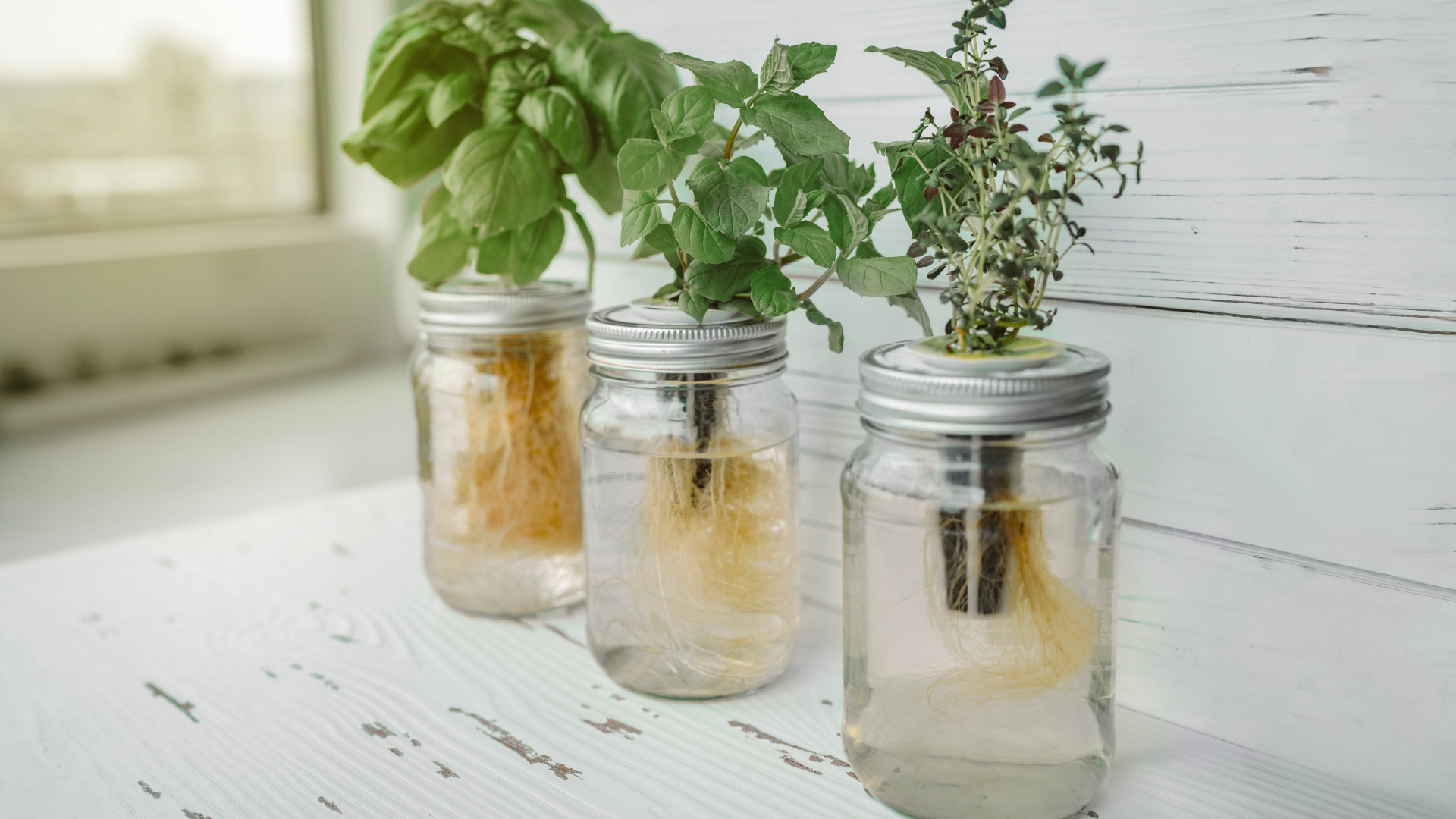 20 Genius Ways To Use Old Jars To Level Up Your Gardening Game