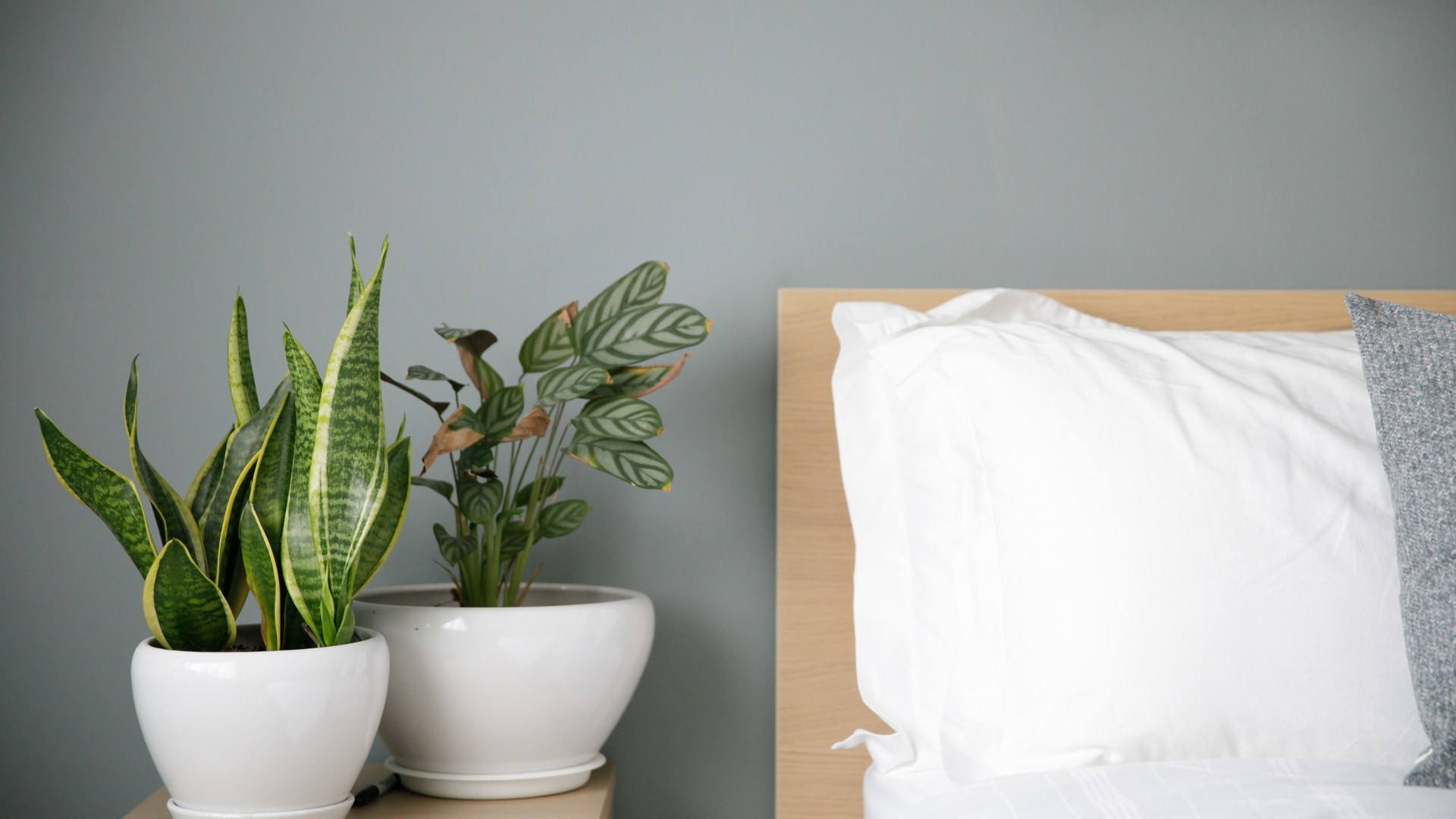 two vase of plant on the side table.