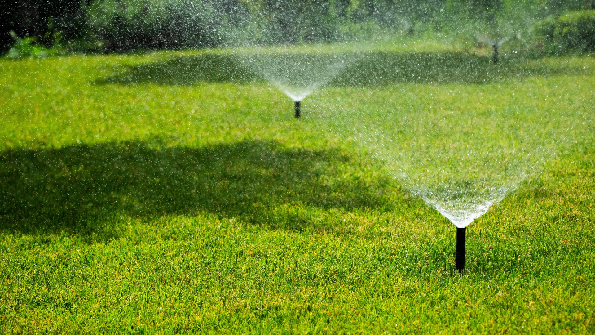 20 Smart and Effective Ways to Water Your Lawn