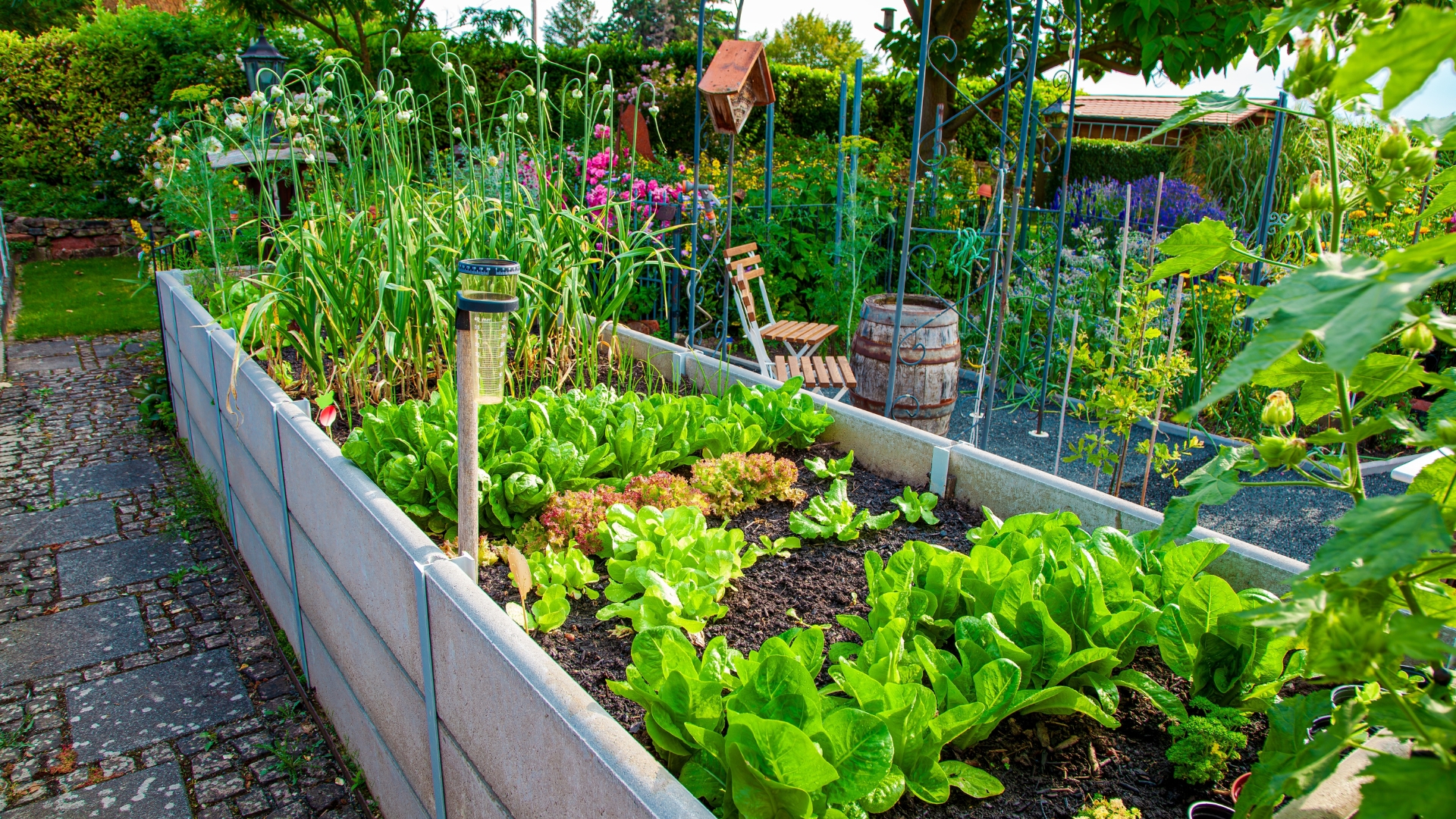 Residential garden, private vegetable garden.