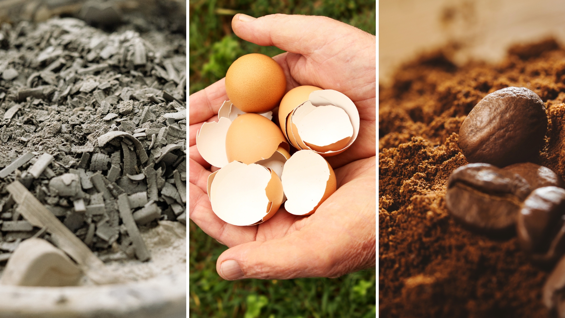 21 Weird But Effective Things To Add To Your Garden Soil