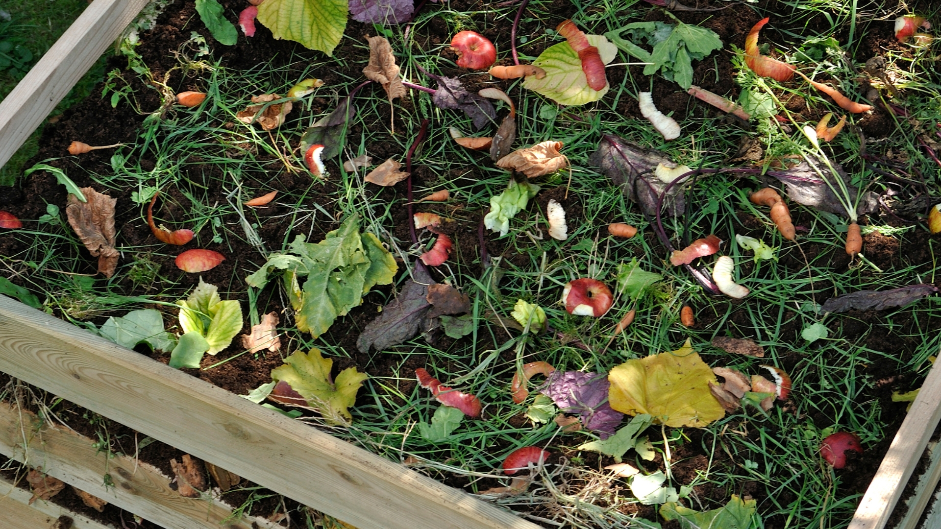 composting process