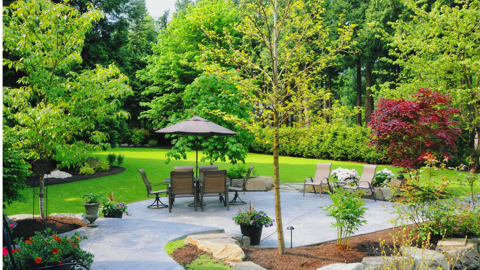 22 Fastest-Growing Trees To Plant For Privacy In Your Yard