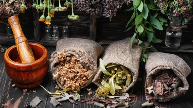 traditional medicinal herbs