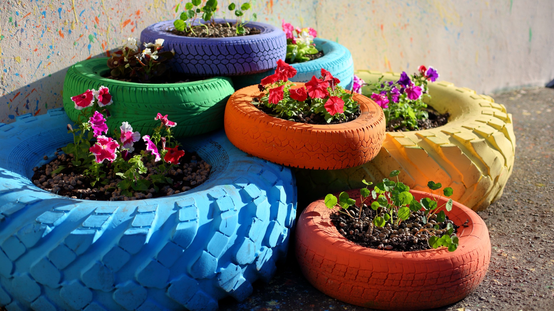 colorful tires as planters
