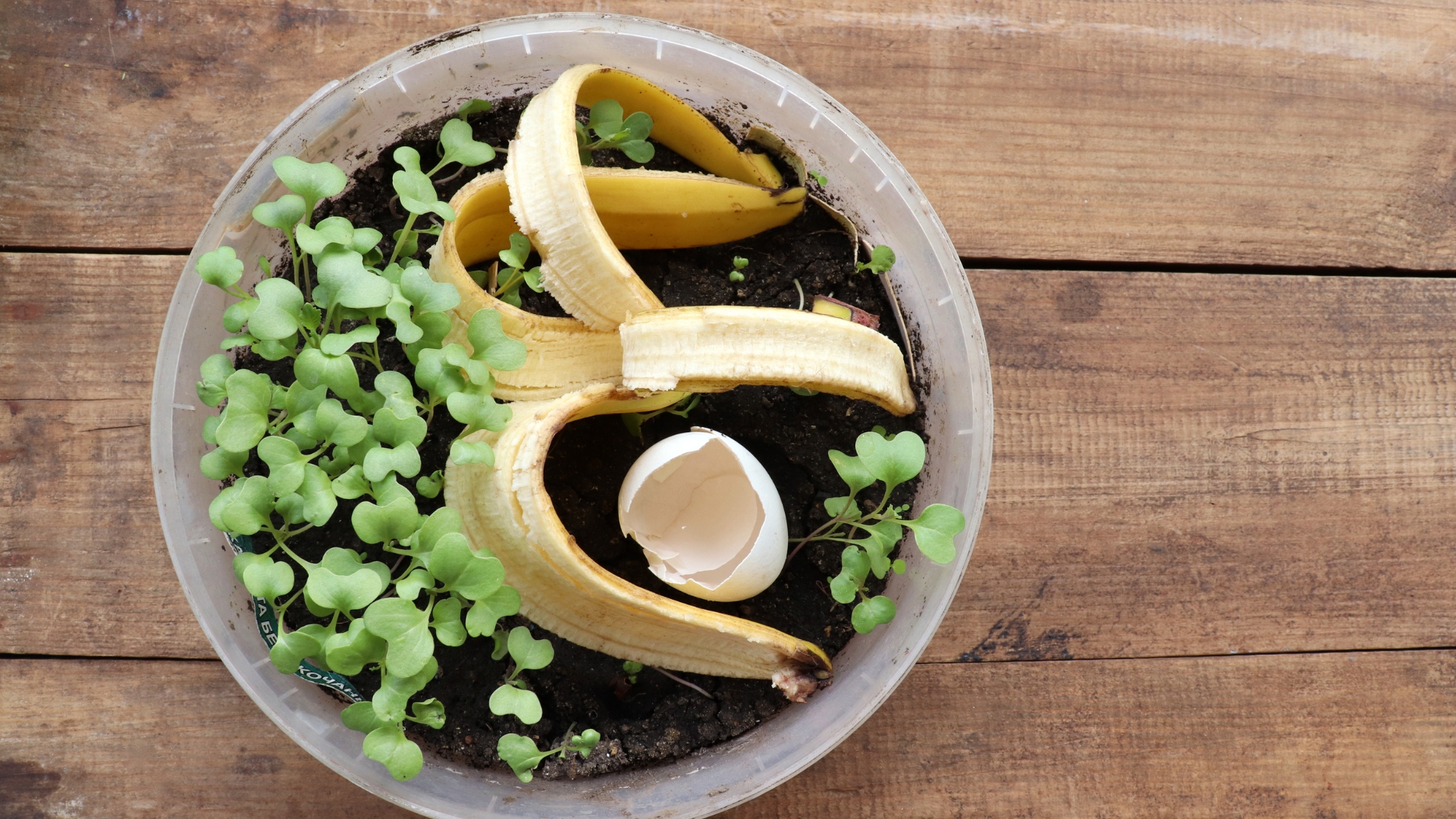 25 Genius Gardening Hacks You’ll Be Glad You Know