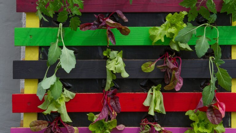colorful vertical pallet garden