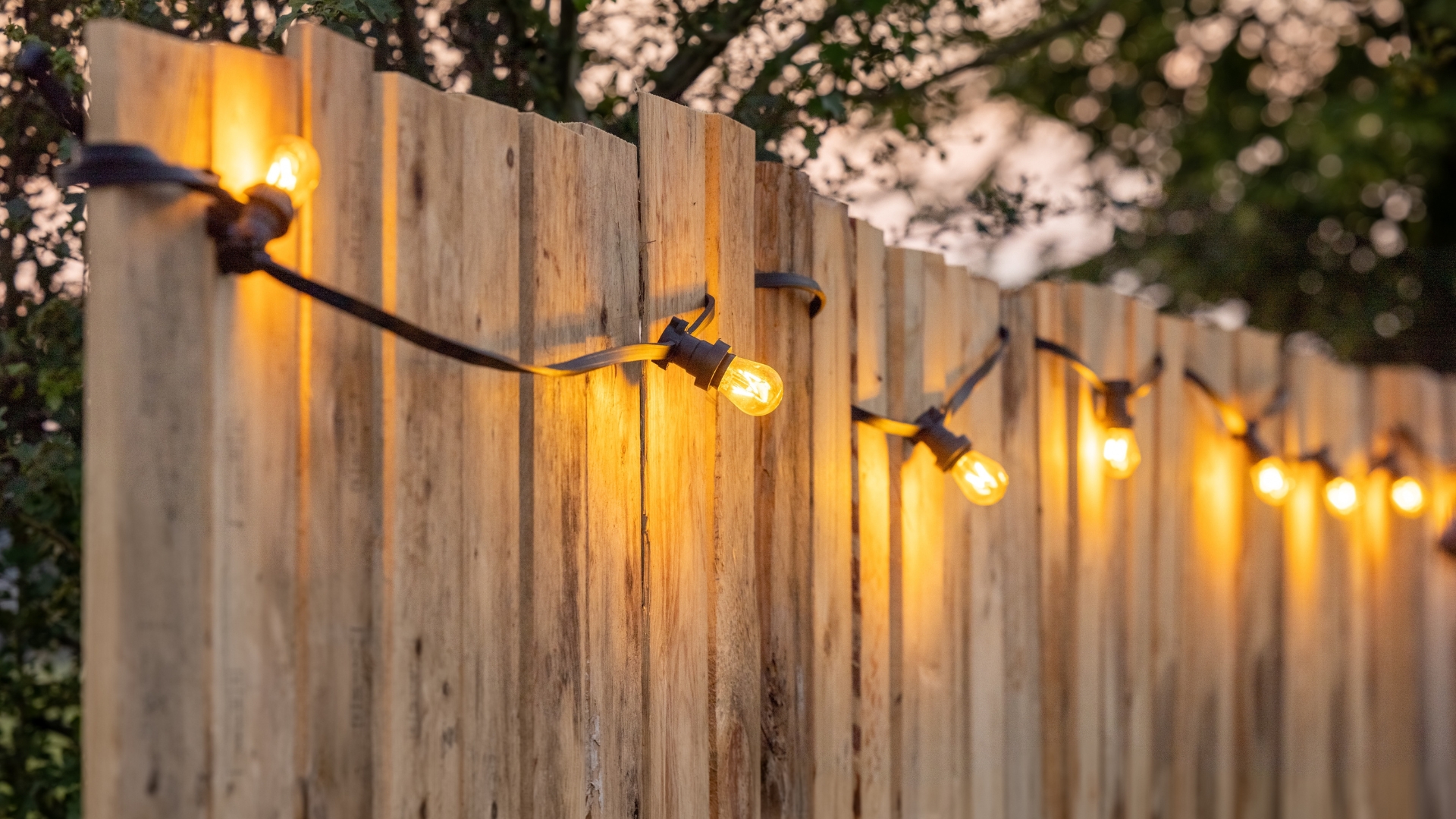 Cosy light bulbs lined up in a row, against a wooden garden fence.