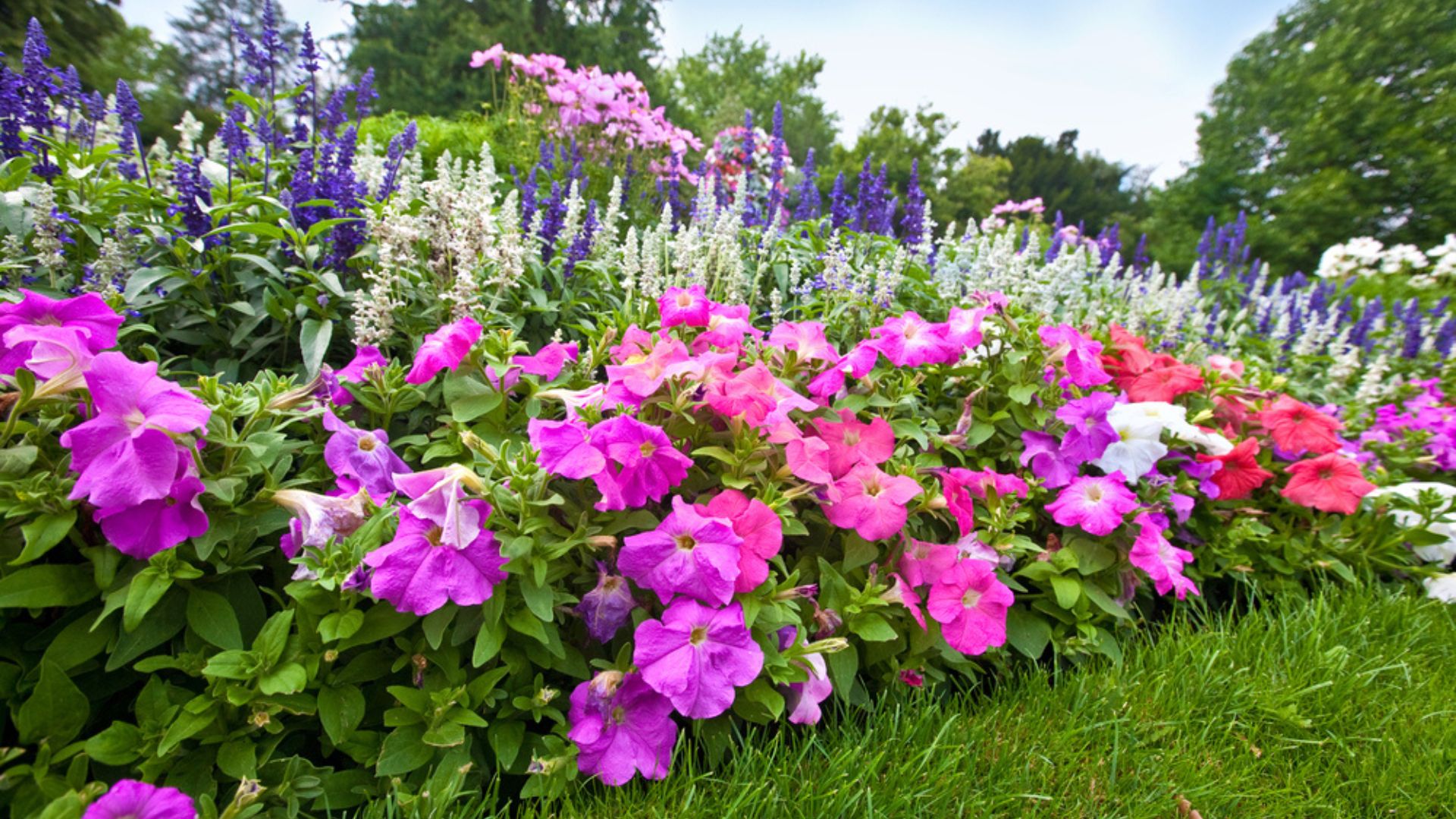 26 Landscaping Plants For A Lush Garden