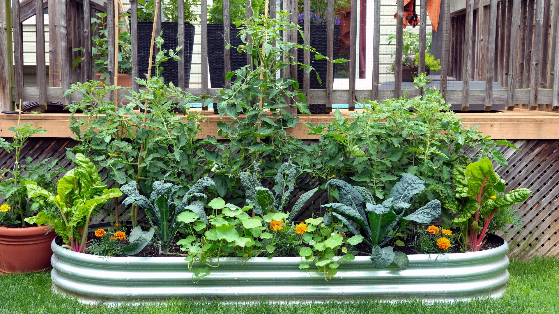 Vegetables and flowers grow together in an edible garden inside a galvanized metal raised bed.