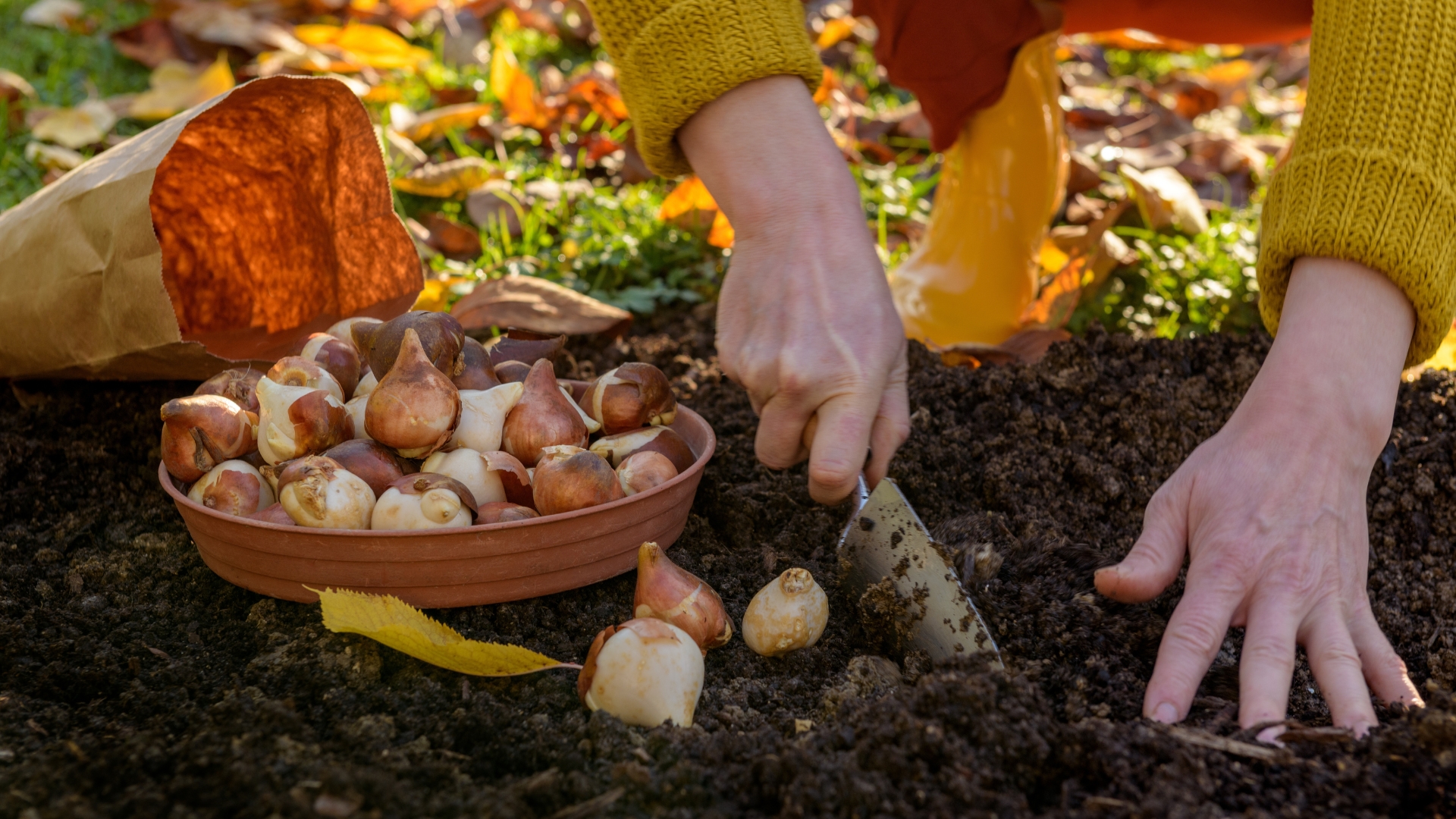 29 Mistakes You’re Making When Planting Flower Bulbs—and How to Avoid Them