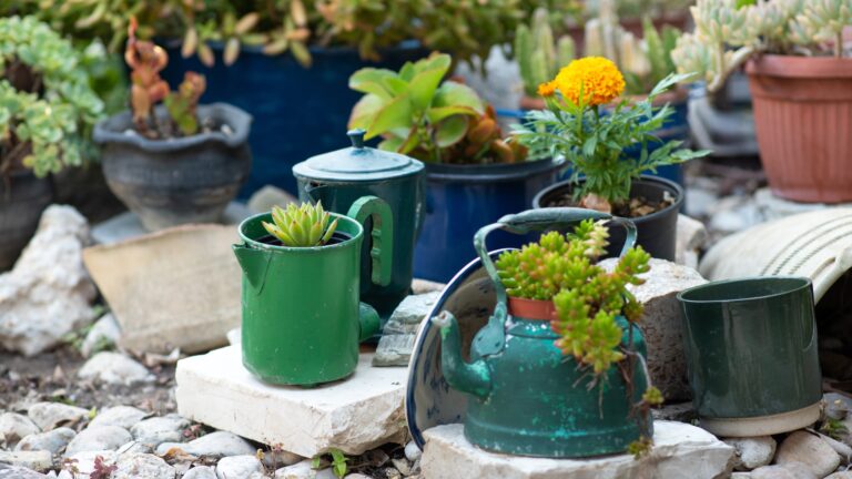 Reused planter ideas. Second-hand kettles, saucepans, old teapots turn into garden flower pots.