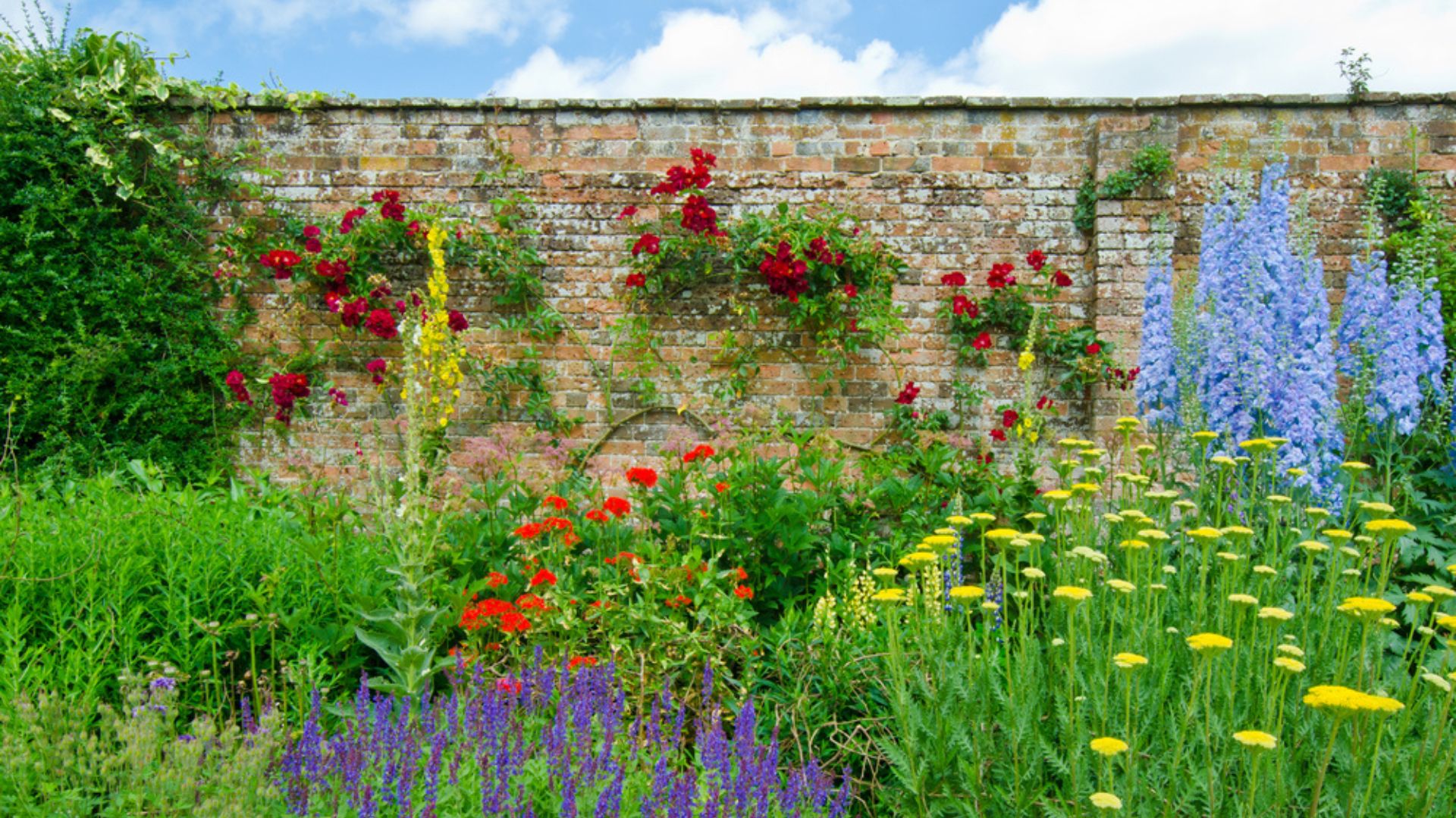 30 Backyard Flower Gardens Your Neighbors Will Envy