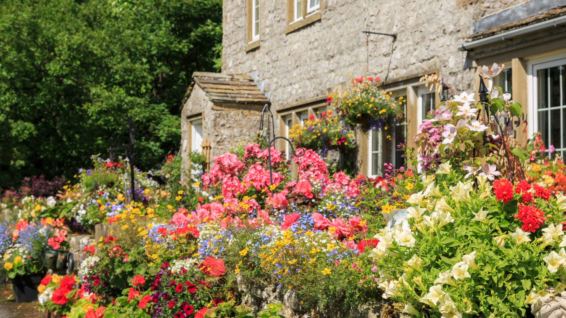 31 Prettiest Cottage Garden Flowers That Have Old-Fashioned Charm