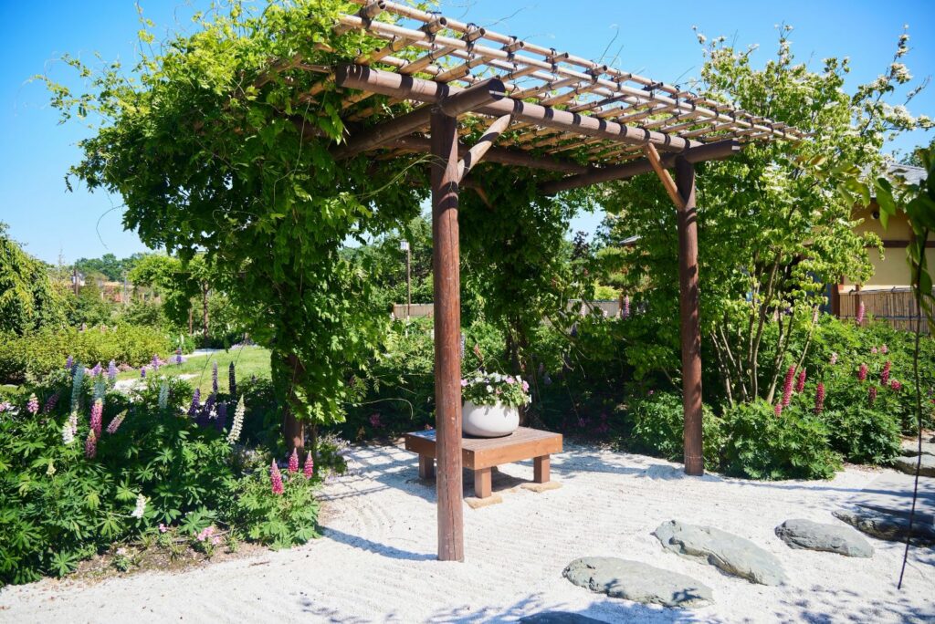 A garden with a wooden pergola and a bench under it