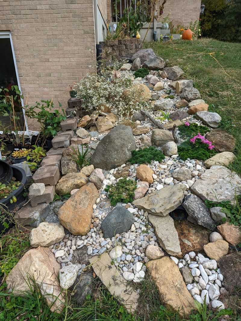 Alpine Rock Garden