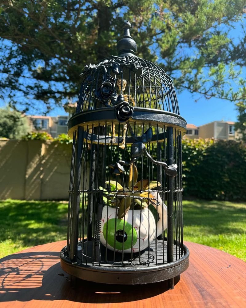 Antique Bird Cages