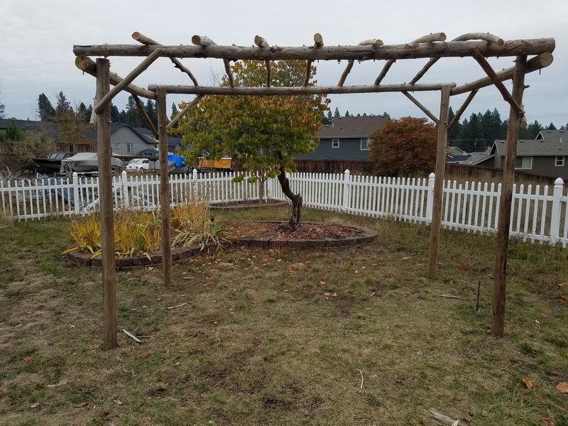 Artistic Driftwood Trellis