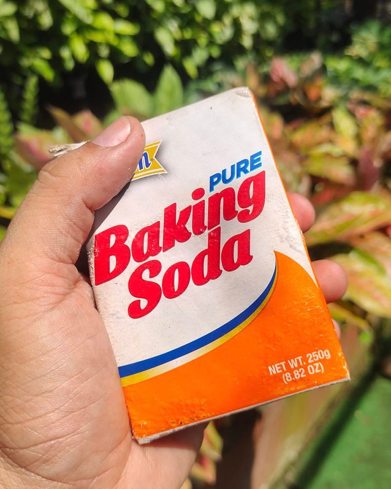 Baking Soda Fungicide