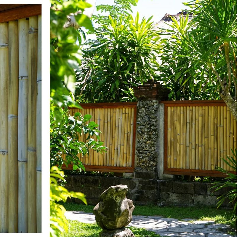 Bamboo Fencing