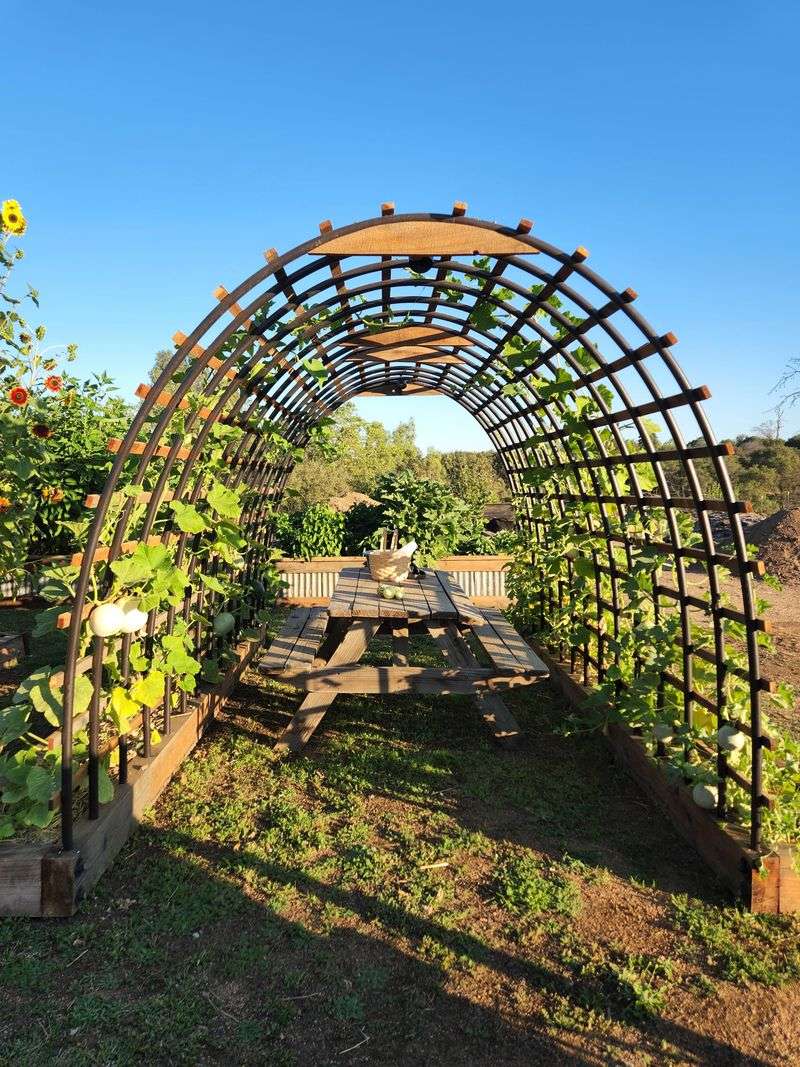 Bamboo Garden Arch