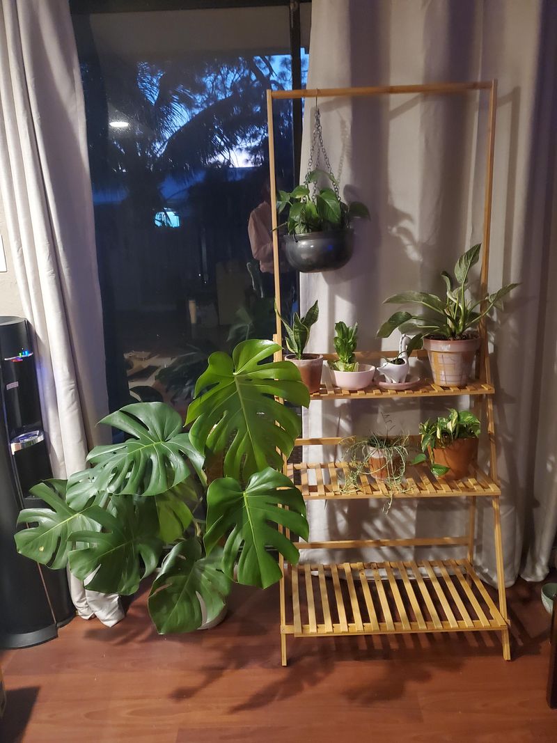 Bamboo Plant Stand