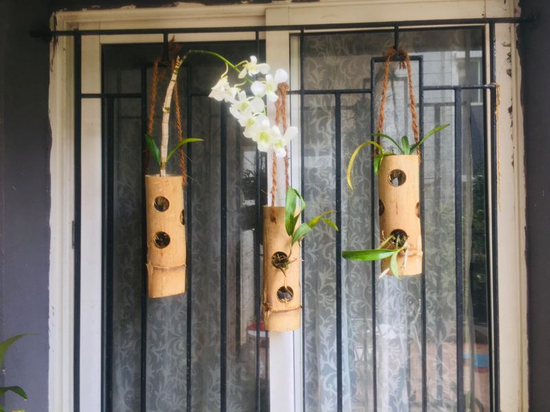 Bamboo Planters