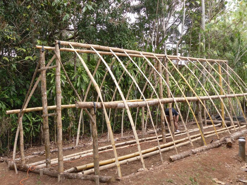 Bamboo Stick Greenhouse