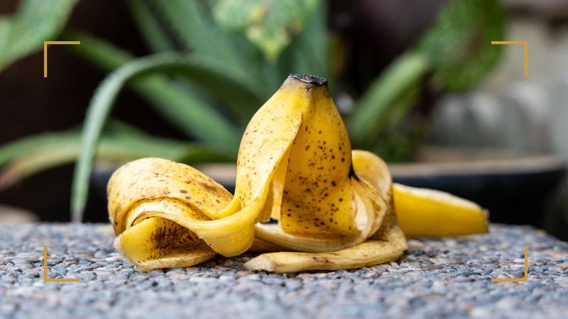 Banana Peels