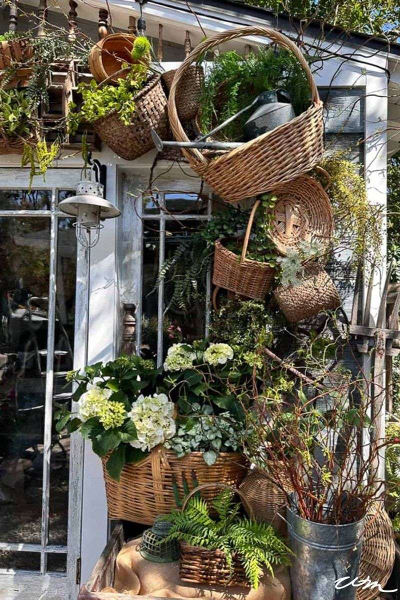 Basket Greenhouse