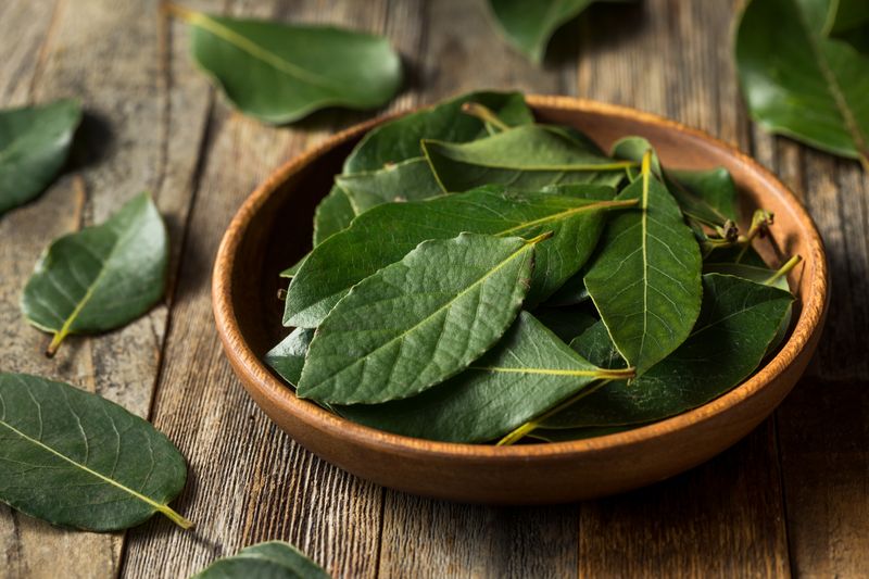 Bay Leaves