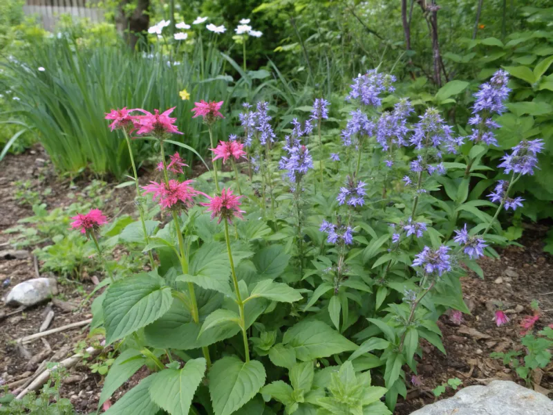 Bee Balm and Bluebells