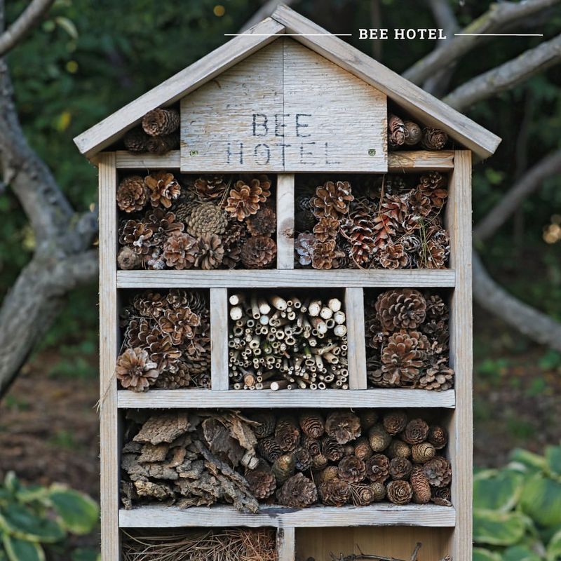 Bee Hotel