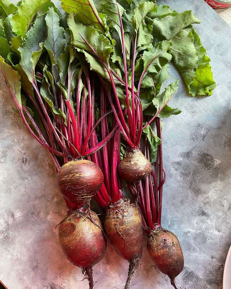 Beets