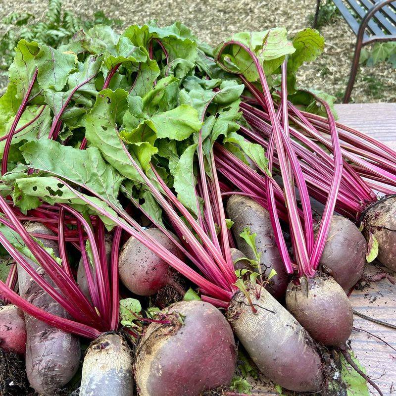 Beets