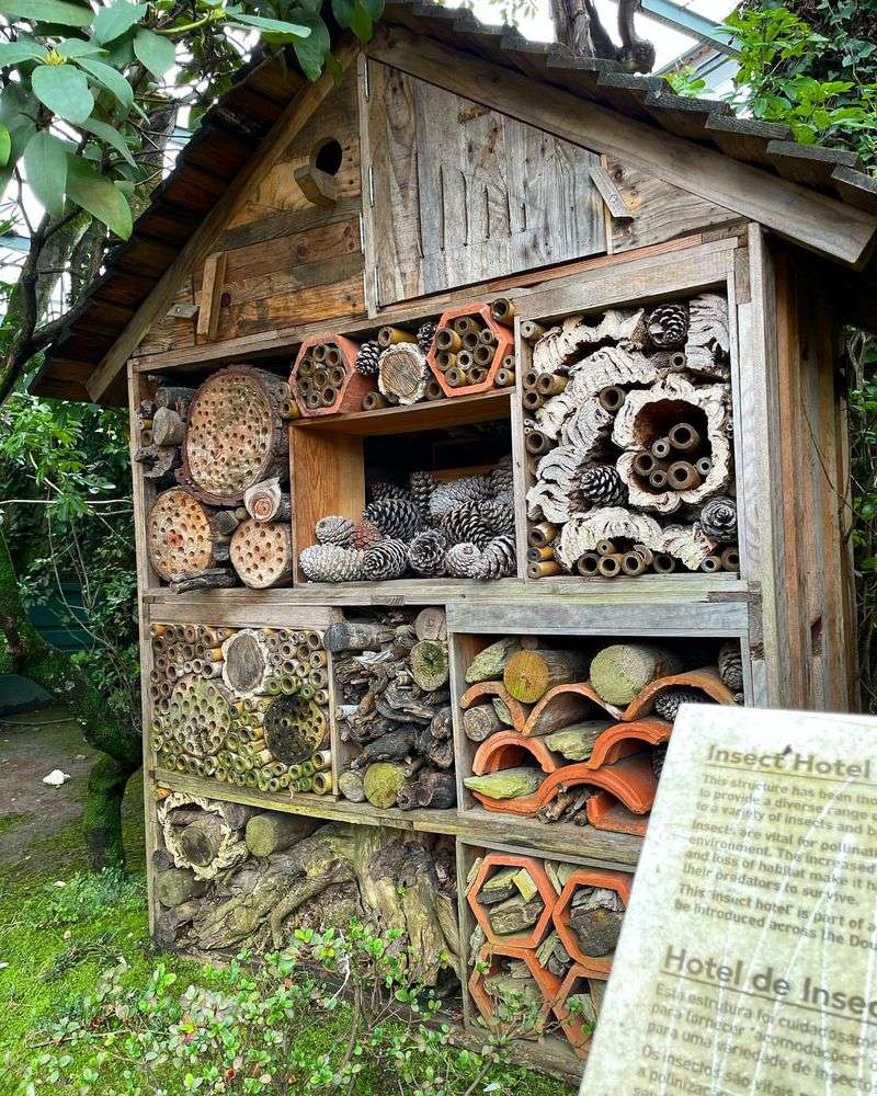 Beneficial Insect Habitats