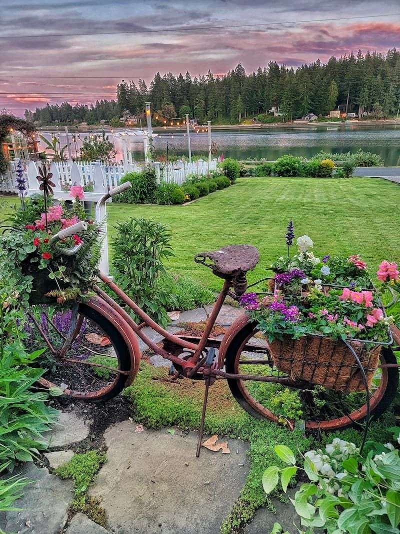 Bicycle Basket Blooms