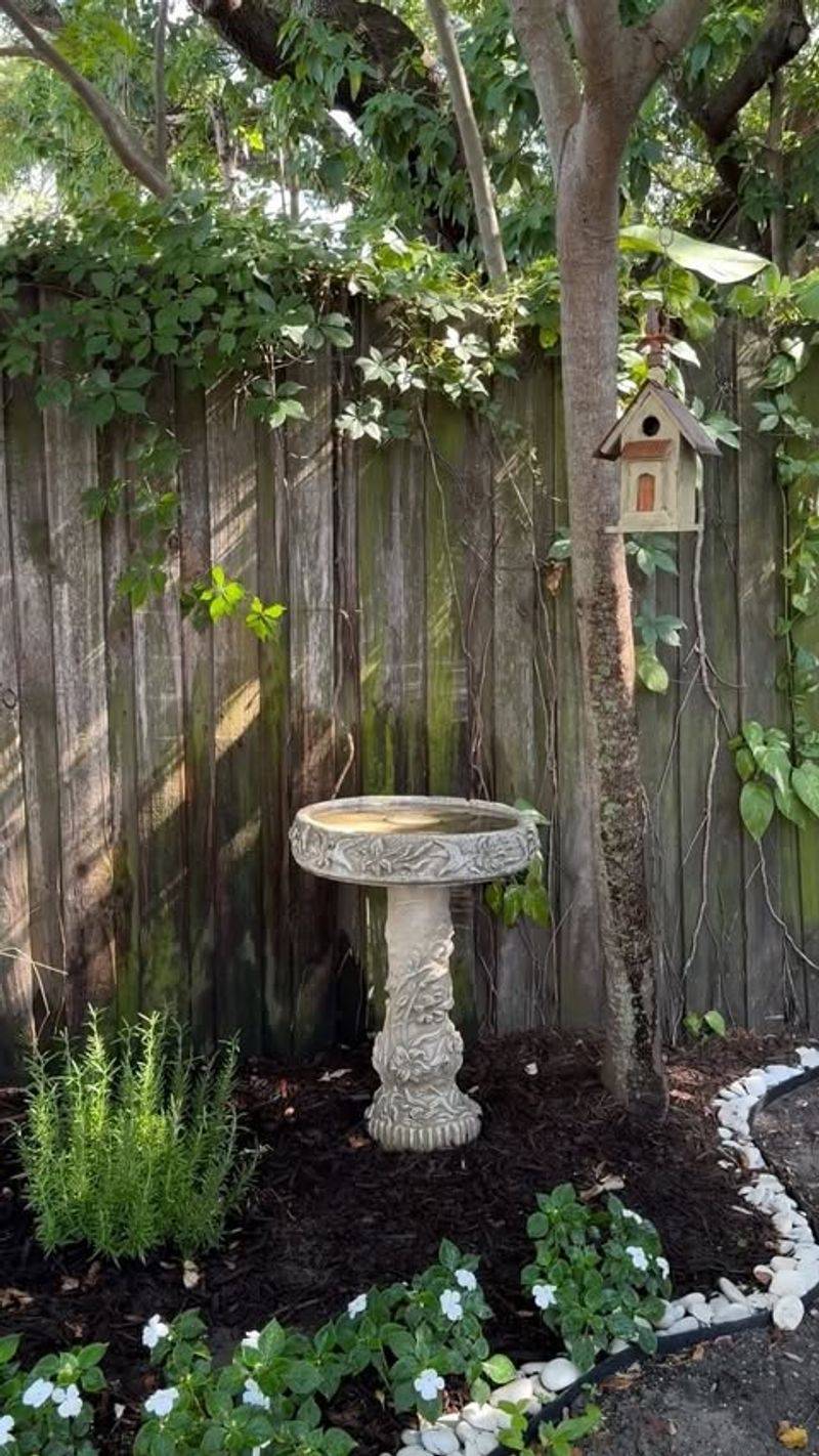 Bird Bath