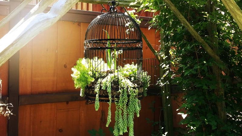 Birdcage Flower Display