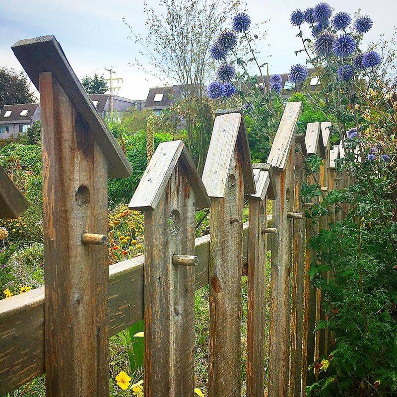 Birdhouse Fence