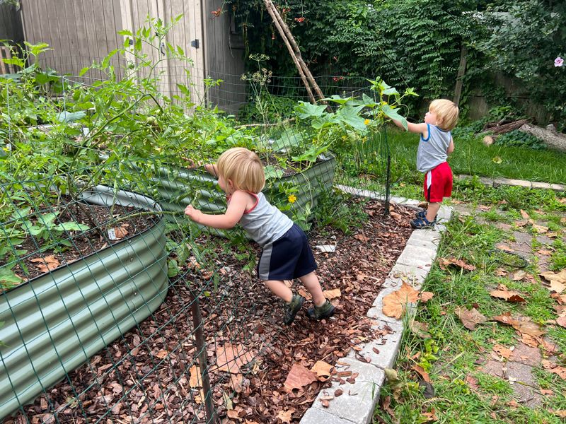 Budding Botanists