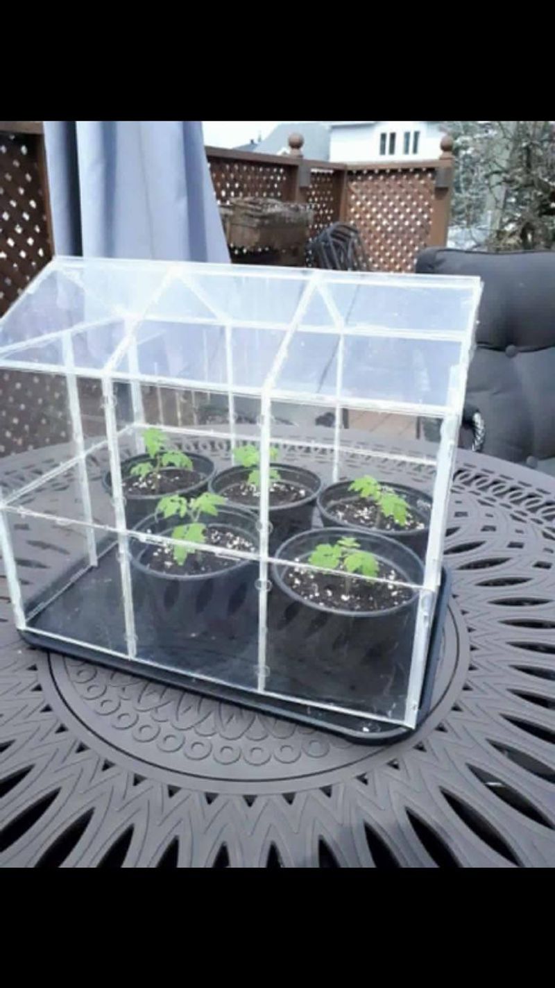 CD Case Greenhouse