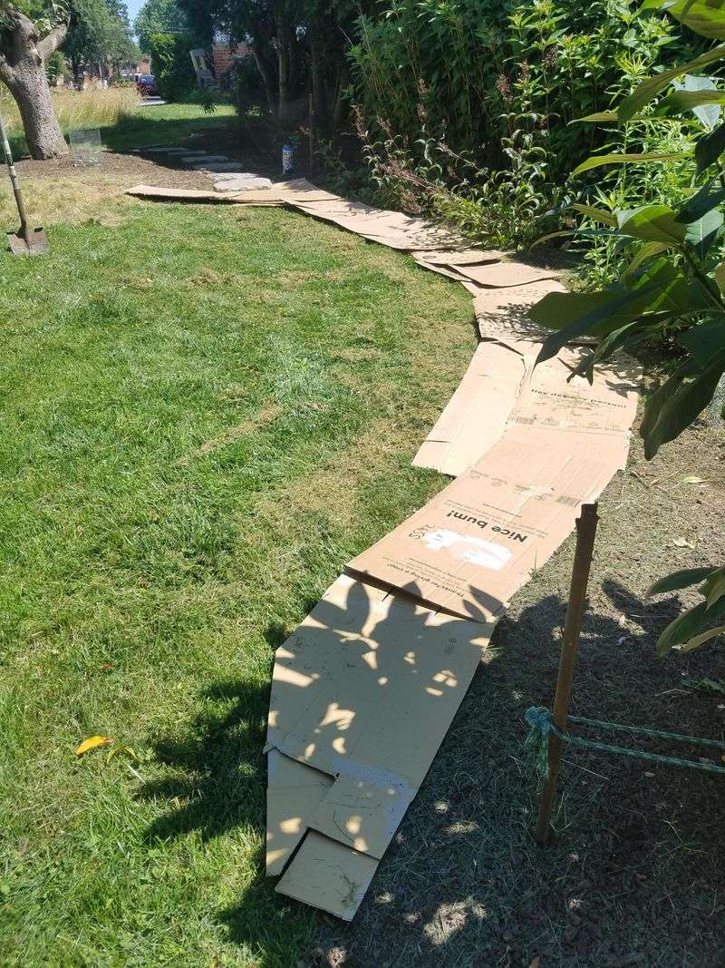 Cardboard Weed Barrier