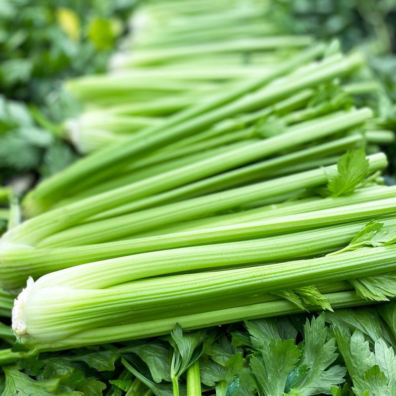 Celery