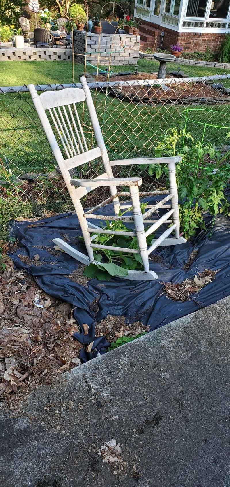 Chair Back Trellis