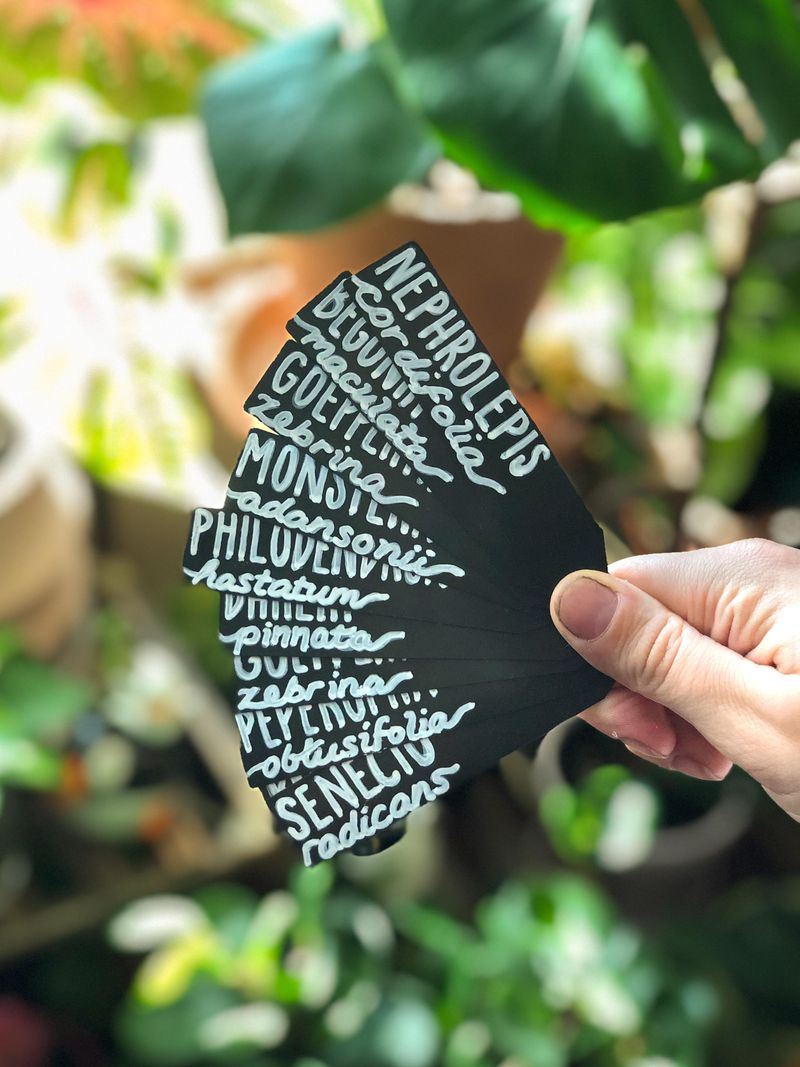 Chalkboard Plant Labels