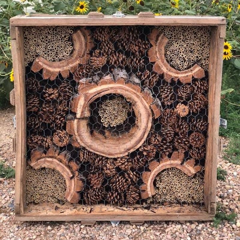 Charming Bee Hotels