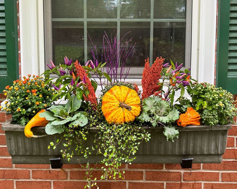 Charming Window Boxes